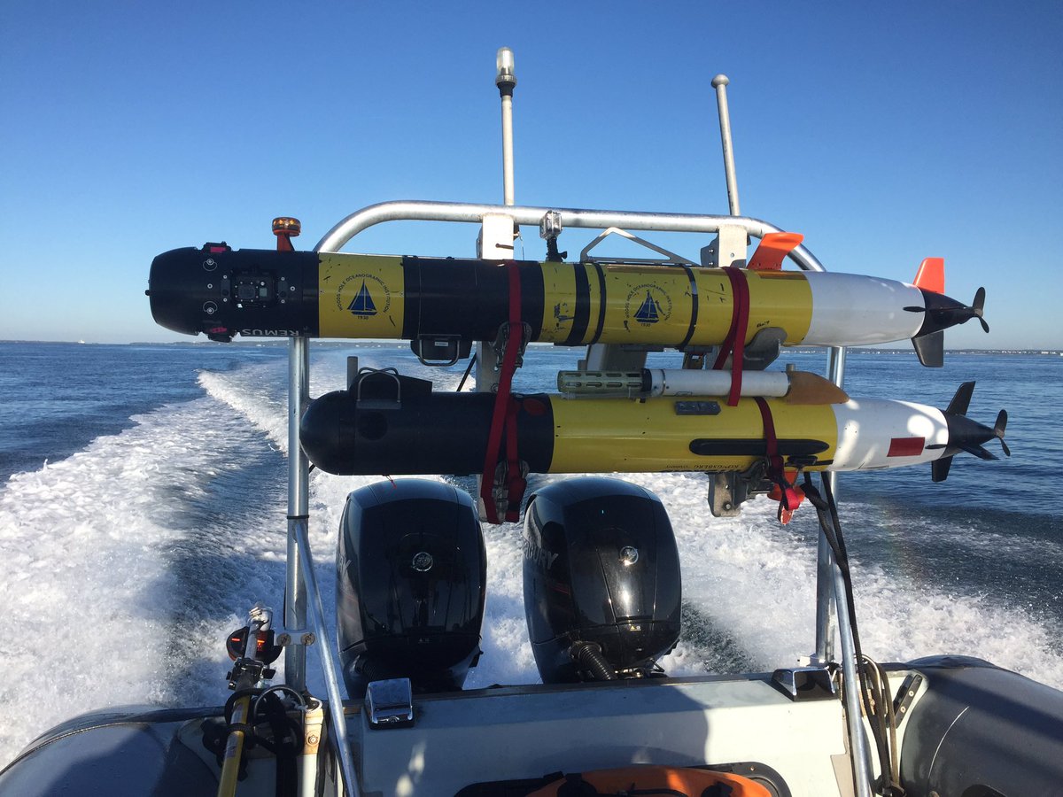 amylkukulya's tweet image. Team #TurtleCam in hot pursuit of a leatherback to tag as part of a 2 year study before they migrate south @WHOI @MassDMF