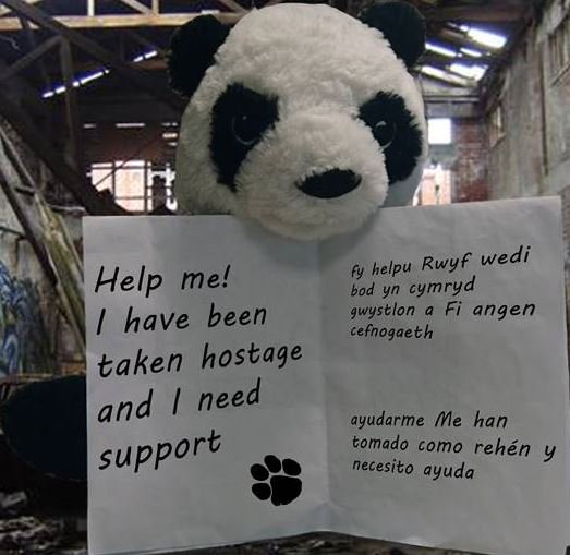 It's been a very traumatic day at CANDA HQ! our beloved <a href="/PandaSecurityUK/">Panda Security UK</a> bear has been taken hostage!! #savepanda #justiceforpanda #help