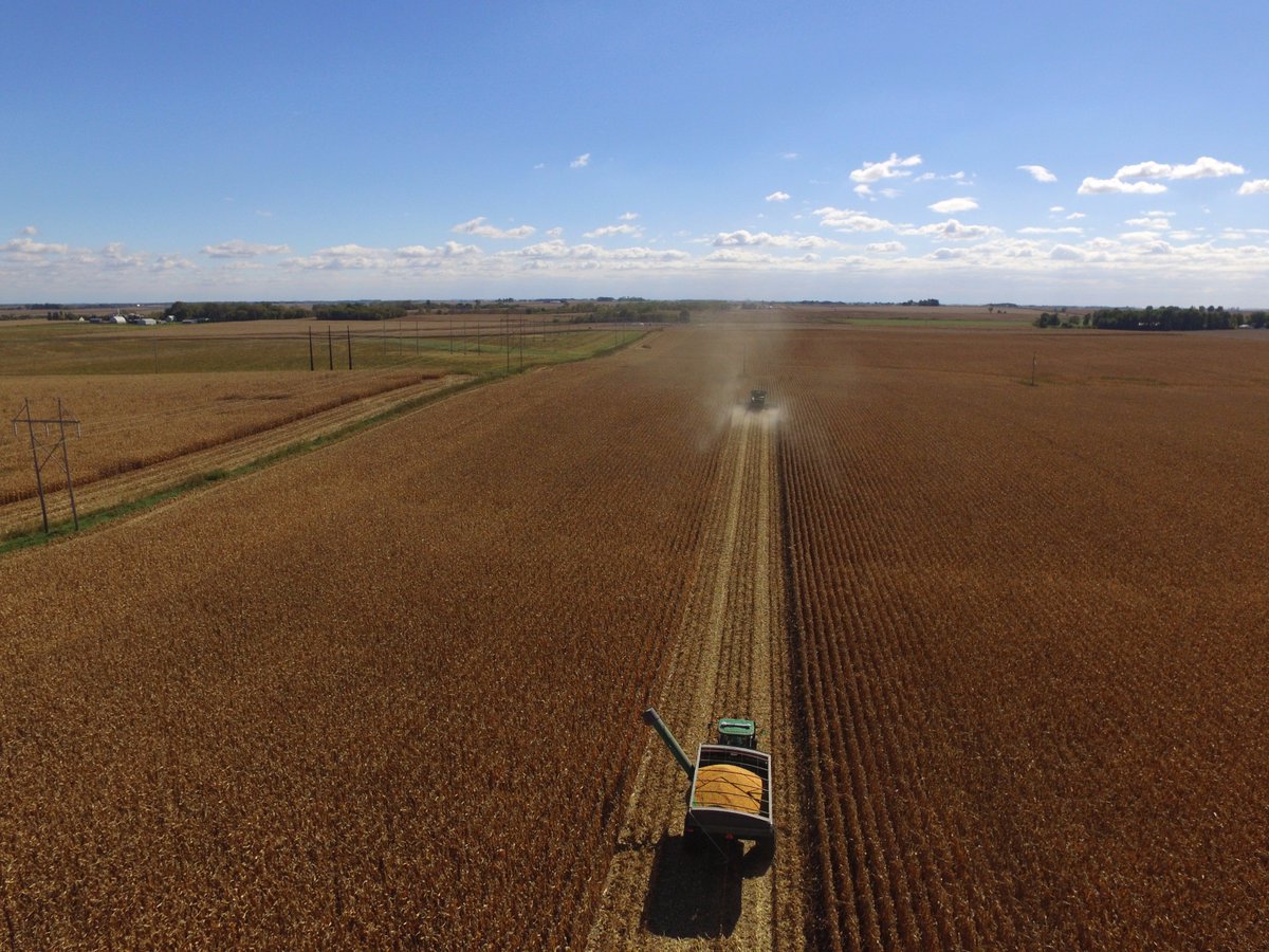 TReicks's tweet photo. Another day of harvesting channel corn #PlacedToPerform @saintjohn04 @ChannelSeed https://t.co/2Lgfh6QP1H