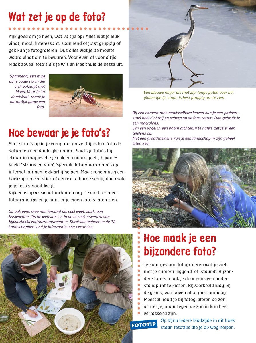 Dit weekend de natuur in? Met de tips uit 'Ga mee naar buiten...' maak je de mooiste foto's van die gekke paddestoel of mooie berg bladeren!