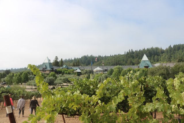 foodandwine's tweet image. What it’s like to glamp at the Francis Ford Coppola Winery. #FWx bit.ly/2dPTU5Z