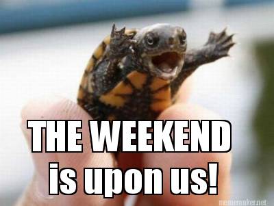 IT_Positive's tweet photo. Finally the weekend! Happy Friday to @KarenRBroughton @CGEyeLtd @TMAltd @bambih51 @BigCarsLtd @rise_ar and everyone else! https://t.co/WDri38qfA9