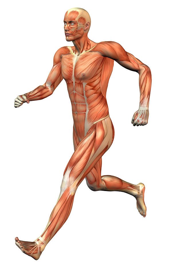 trigenics's tweet photo. Not your typical treatment #results #trigenics #chiropractor #physiotherapist #RMT https://t.co/XLHpVygbGv https://t.co/l4f3BVY8R3
