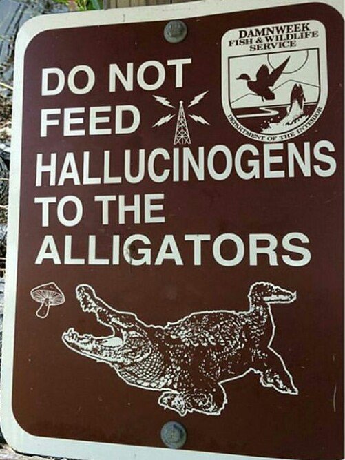 Somebody please make this into a shirt.