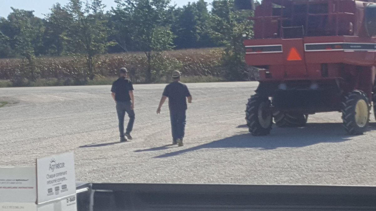 Marty_Oz's tweet photo. The Witt brothers heading out to harvest beans. #Dim and #Half @JobsonFarms @AtwellFarms #farminTim https://t.co/wbn4tsg27x