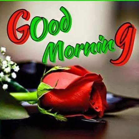 vikramdevasi2's tweet image. 