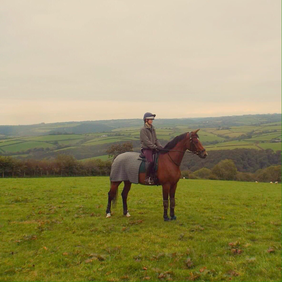 Enjoying a welsh view with Gayla #wales #ontopoftheworld