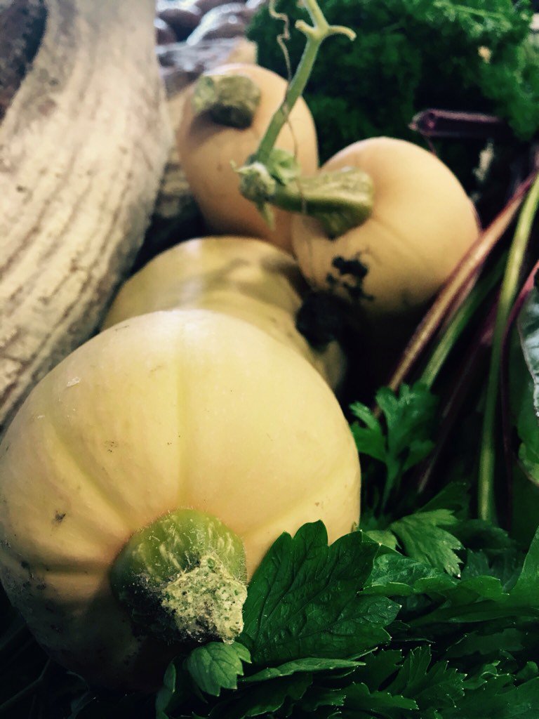 bloomskitchen14's tweet photo. Some lovely #local #organic #vegetables for tonight and the weekend https://t.co/VARebDl2BP
