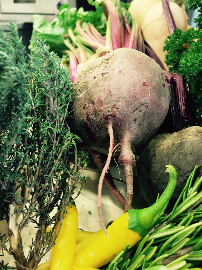 bloomskitchen14's tweet photo. Some lovely #local #organic #vegetables for tonight and the weekend https://t.co/VARebDl2BP