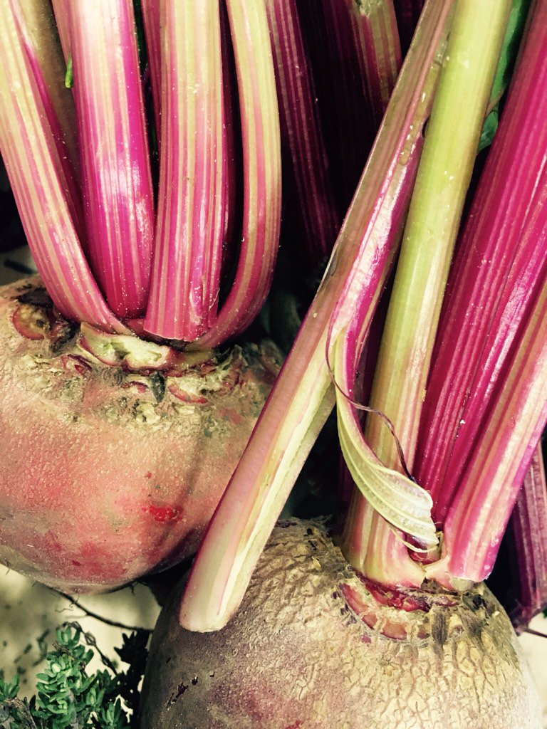 bloomskitchen14's tweet photo. Some lovely #local #organic #vegetables for tonight and the weekend https://t.co/VARebDl2BP