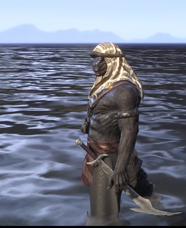 "Yaaa-aarg, matey!... Okay, where's my gold?"