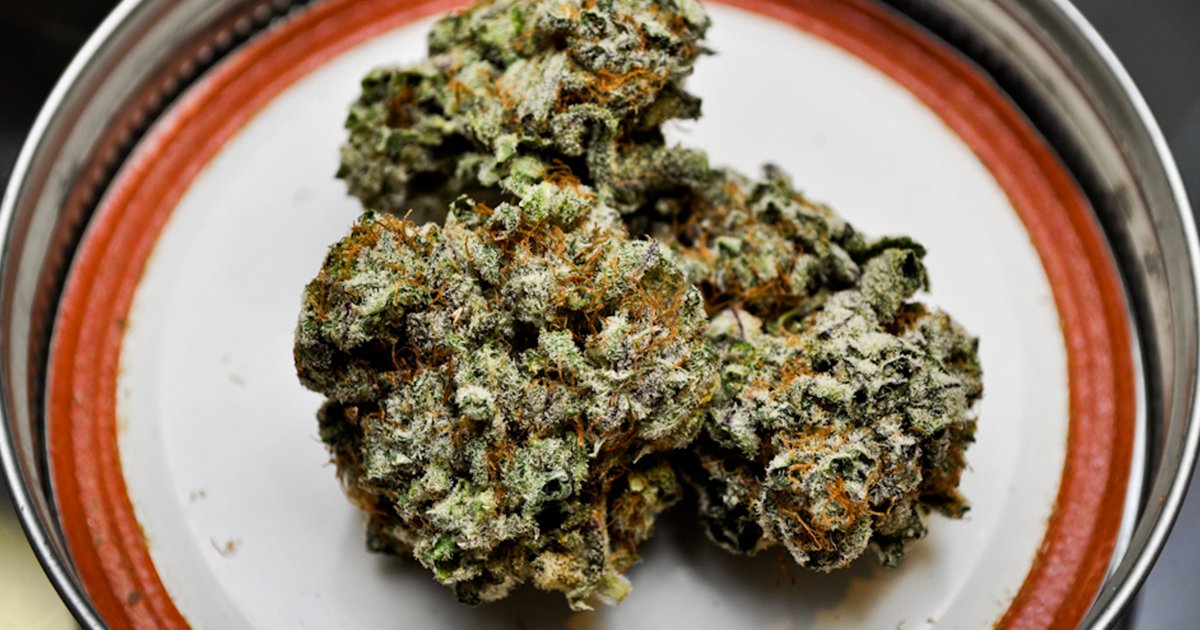 MedicinalMJDoc's tweet photo. #MarijuanaSmoking Up, #MarijuanaArrests Down https://t.co/ulDI5VQZ84 @NORML #marijuana #safety #cannabis https://t.co/AmLXLHWK5S