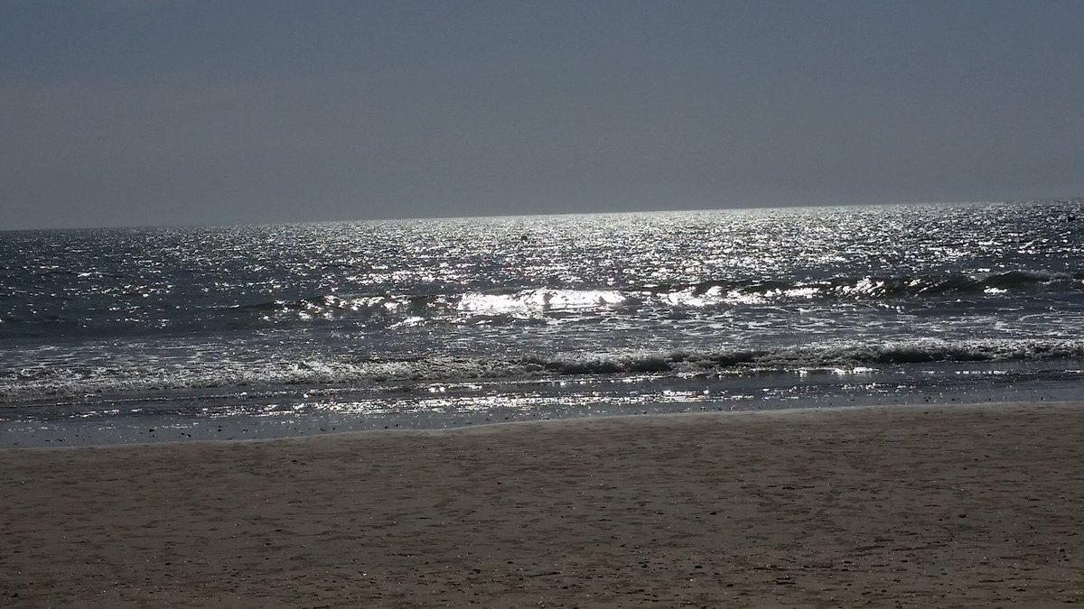 glo_1208's tweet photo. Nada como un buen libro, Sabina, el mar y yo. #puntaumbia #congreso https://t.co/WTJqYNMUra