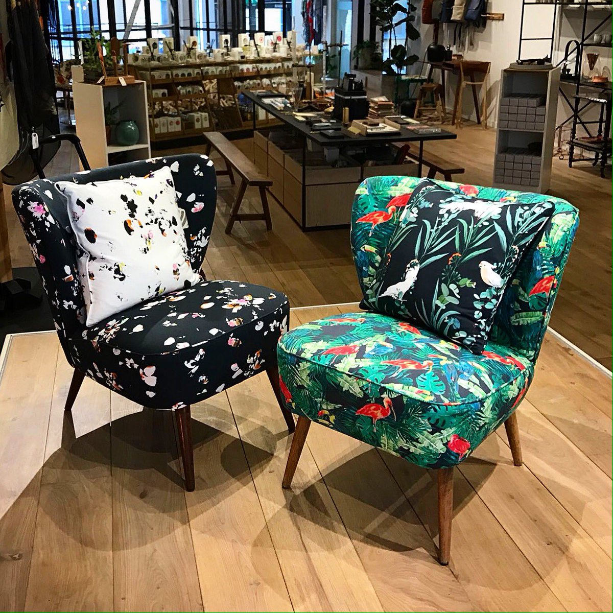 Charlotte Frances tweet media