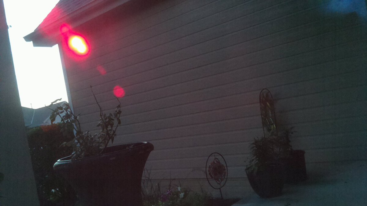 Real_Shit_News's tweet photo. Another #RaspberryPi #photography. #MotionDection https://t.co/lLMtfWEnrw