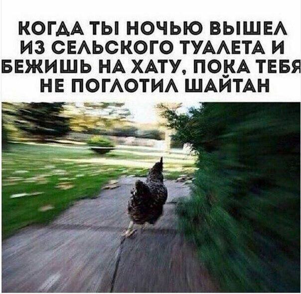 Meme Corp (@proekt46) on Twitter photo 