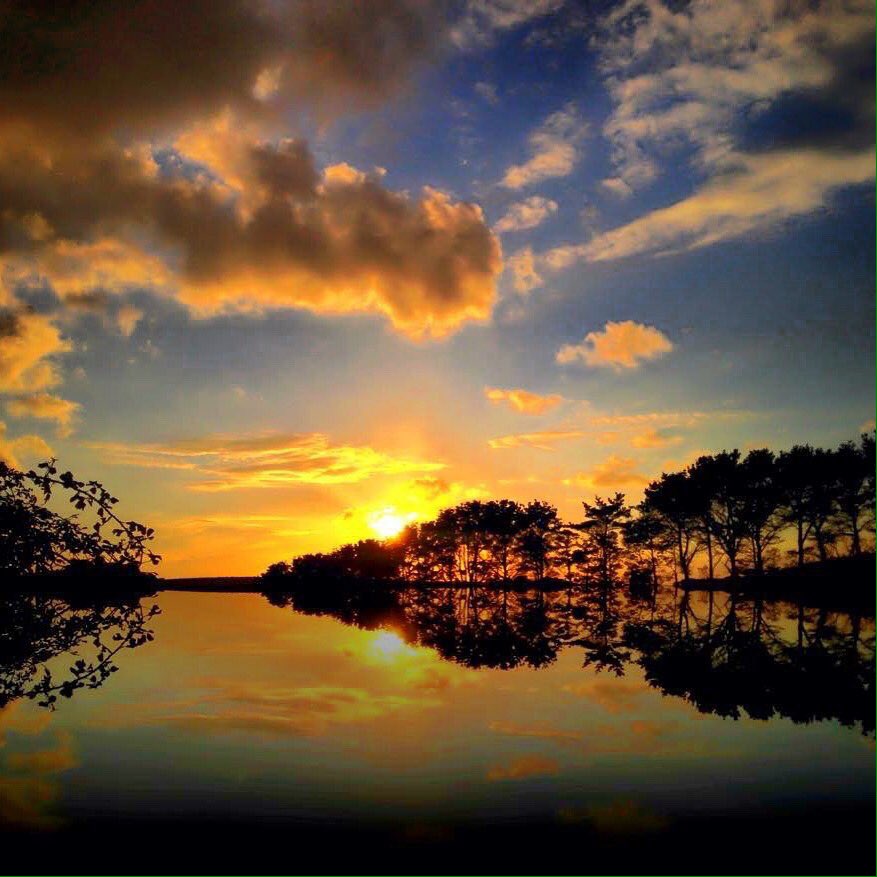 CornishSunsets tweet media
