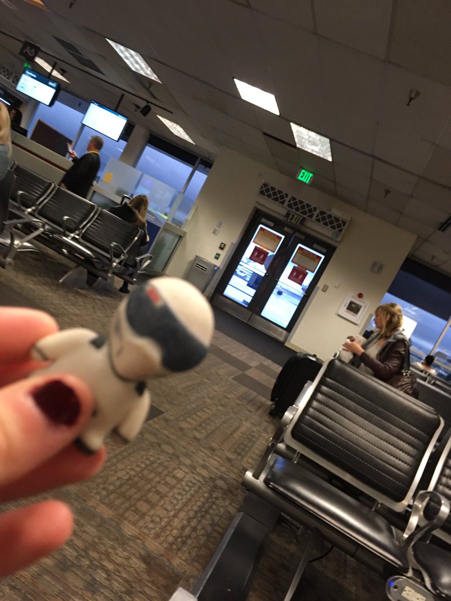 mini_stig tweet picture