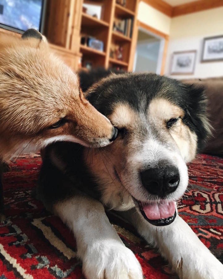 AndreaRussett's tweet photo. bff goals ⭐️ https://t.co/umZbnaKJh0