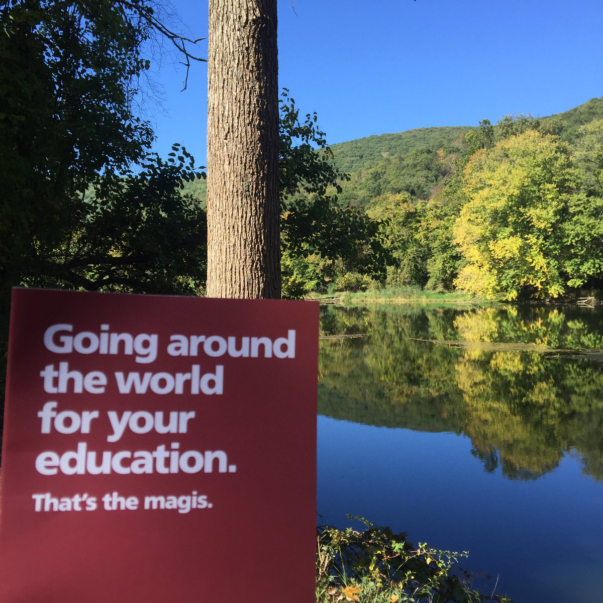 hchcvanessa's tweet photo. #funfactFriday: Did you know our students come from 44 different states &amp; 36 nations? Come #visitsju &amp; check it out! https://t.co/a2CsGeXdws