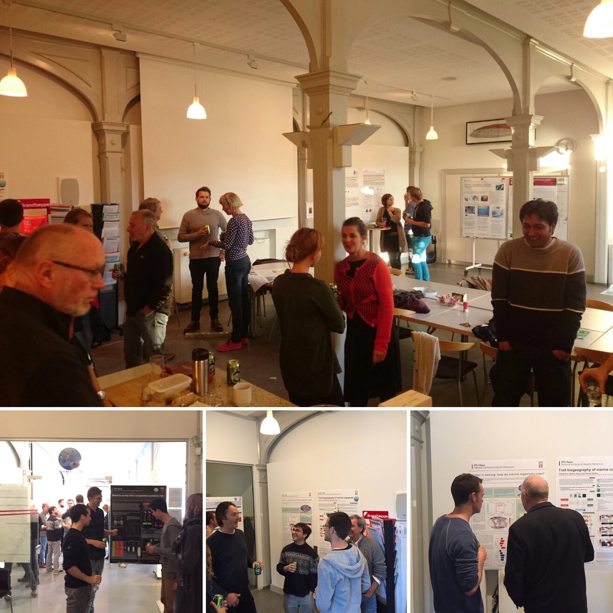 OceanLifeCentre's tweet photo. Friday beer and posters: scientific mingling at the centre. #workhardpartyhard @Thomaskiorboe https://t.co/rZNMqU7PxU