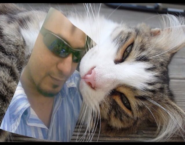 fayaz2811's tweet photo. https://t.co/SVh0HJiJlR