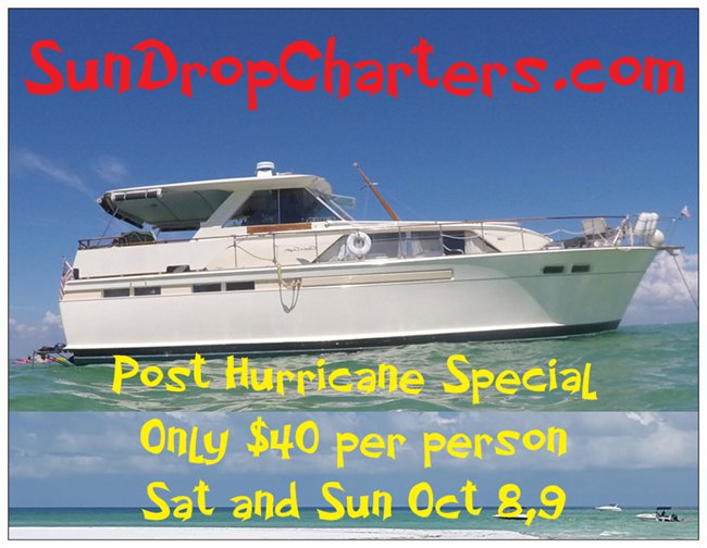 SunDropCharters's tweet image. Post Hurricane Special $40 Cruise to Passage Key Sat and Sun @sundropcharters #dolphins #cruises #beach #Tampabay #StPetersburg #charters