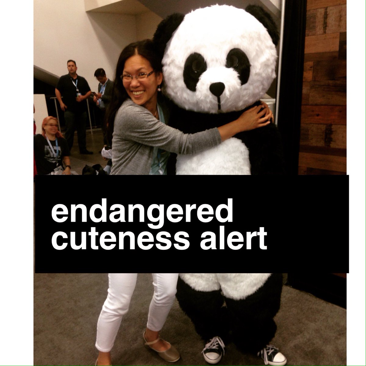 cecemlee's tweet photo. Last day at #df16. Yesterday's mascot photo from @pandadoc #toocute #pandaalert what will I find today? https://t.co/1q8iW8dgGd