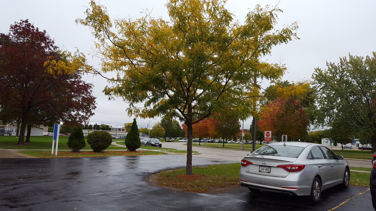 Beautiful fall day at Marian!