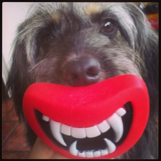 Can_cake's tweet photo. A sonreír!!! Feliz #DiaMundialdelaSonrisa 😁😁 https://t.co/GybFqlV5wu