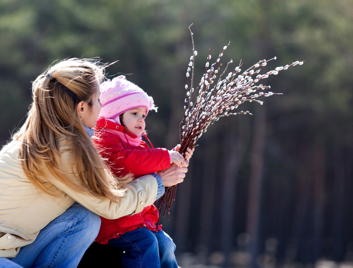 HerbalDirect's tweet photo. Protect your family's eyes this Autumn with 1/3rd off Similasan only on Herbal Direct https://t.co/sM6KcidU15 https://t.co/9lpN9OLJoX