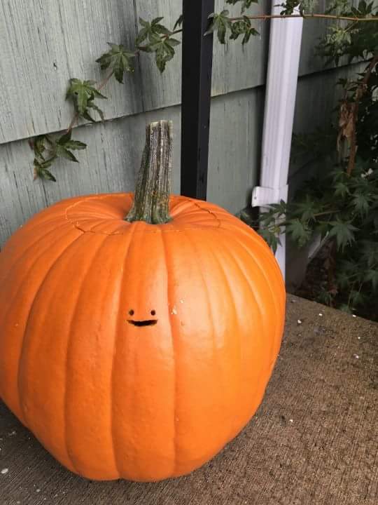 andrewgameover's tweet photo. LMAO!! :D #Halloween  #Halloween2016 https://t.co/RqTN6H8gSN