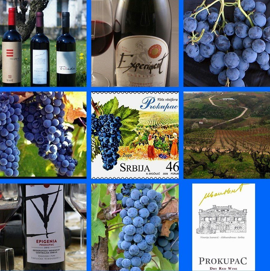 WinesofSerbia's tweet photo. PROGRAM - DAN PROKUPCA 14.10.2016.
https://t.co/tfLNrNwGju 
#wine #ProkupacDay #Serbia https://t.co/RaEqAKIDyx