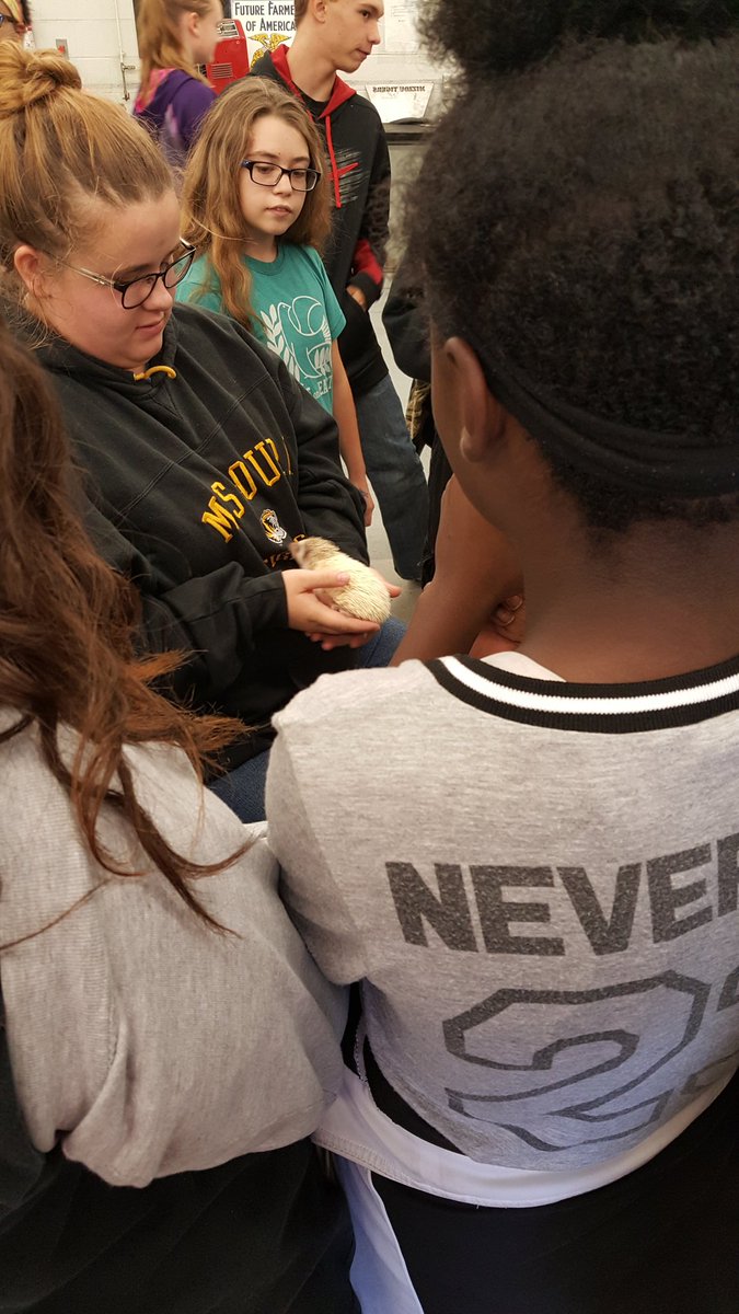 EmilyCathey's tweet photo. Petting zoo! #fpsteach #fmsteach https://t.co/mgc6wZml0q