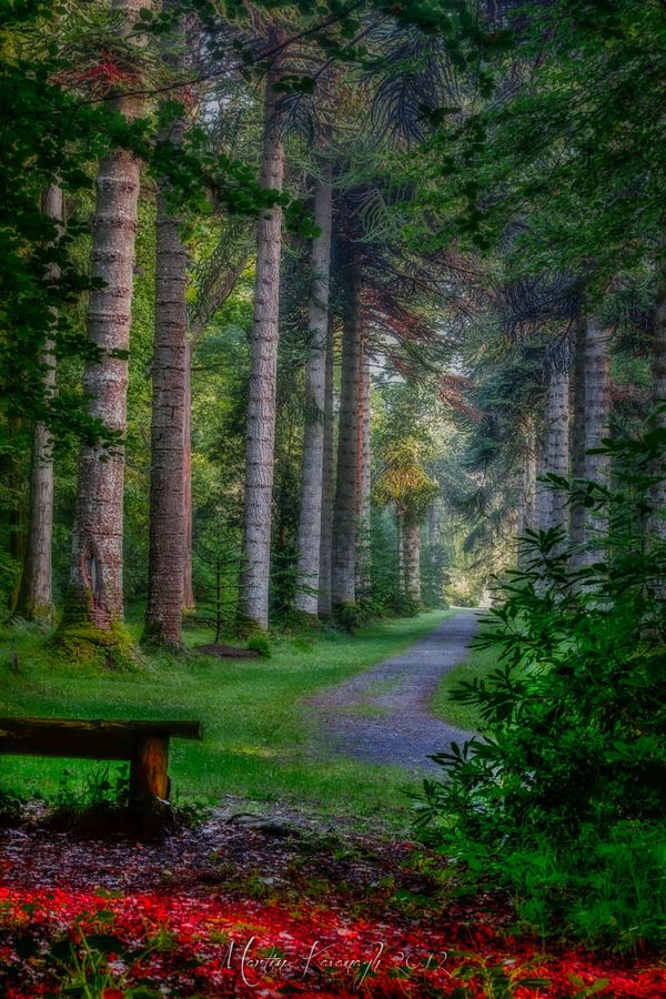 hummingbirdmom4's tweet photo. Slow down. Pause. pray before choosing your next pathway direction. 
Proverbs 3:5  #LetGodGuideYou 
 https://t.co/TsGXABisT3