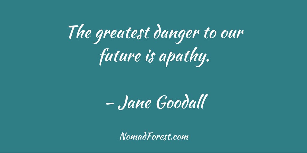 NomadForest's tweet photo. "The greatest danger to our future is apathy" - Jane Goodall #sustainability #consciousconsumerism #QOTD https://t.co/qKHdzzYoyL