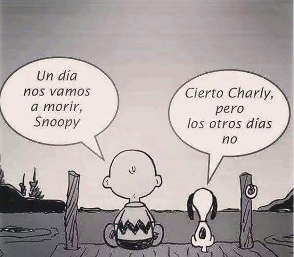 GoMobilityNow's tweet image. 