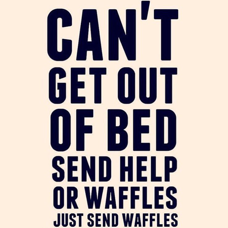 expatongreen's tweet photo. Too cold. Send waffles.
#alfrescoonly https://t.co/cdEe1BIbjA