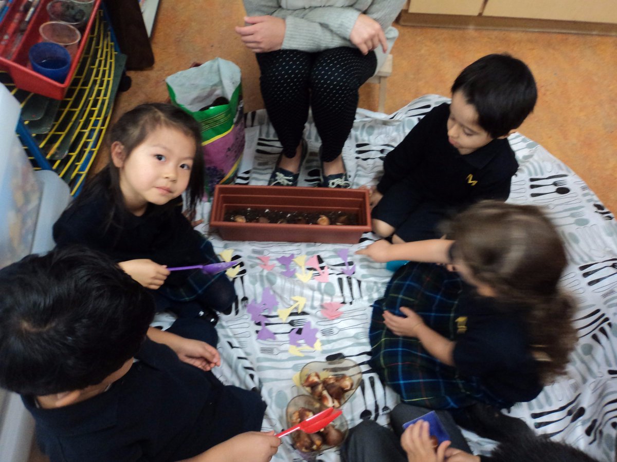 seeanngo33's tweet image. Making patterns come alive (literally!) by planting tulips @MulgraveSchool #kmath #patterns