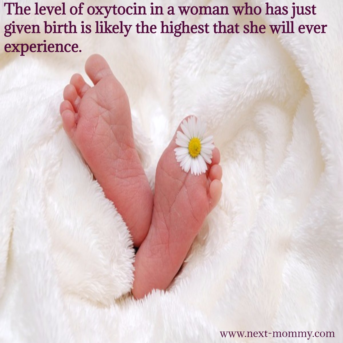 Next_Mommy's tweet photo. Widely referred to as the love hormone, oxytocin has also been dubbed the hug hormone, cuddle chemical, moral molecule, and the bliss hormon https://t.co/HA19NngkHP