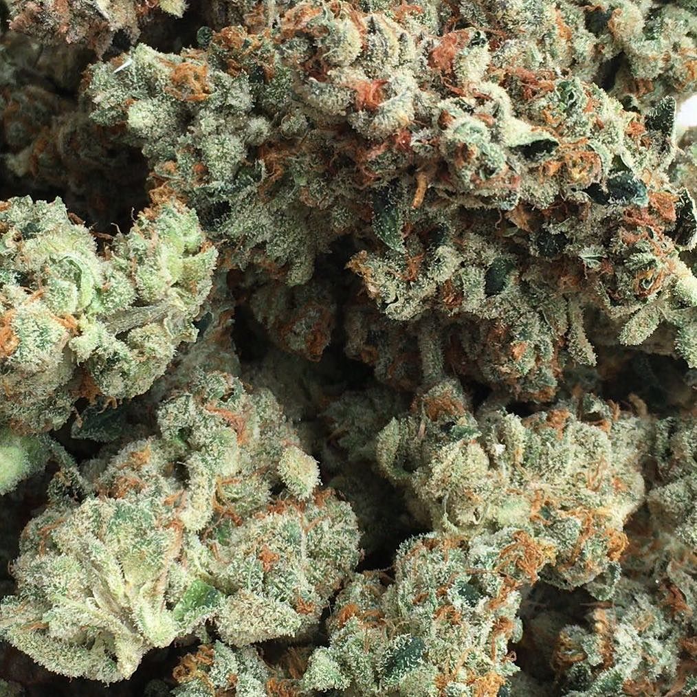 chroncierge's tweet photo. Lost Soul!🖖🏽🍁🖖🏽 #Chroncierge #TopShelf #MahoneyGrown #PrivilegedExtracts #TG #Marijuana #L… https://t.co/tRL1ue1GRb https://t.co/6vmTgM9ht4