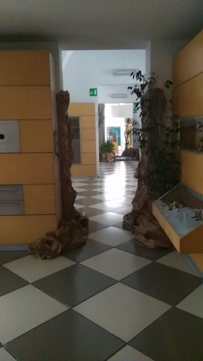 AlcaMaglie's tweet photo. Metamorfosi ad #alcamaglie per #famigliealmuseo. Duro però perdersi @ramosveronica86 ad #apmusei #rinunce di #piccolimusei 😔😪 https://t.co/CulilVcSoG
