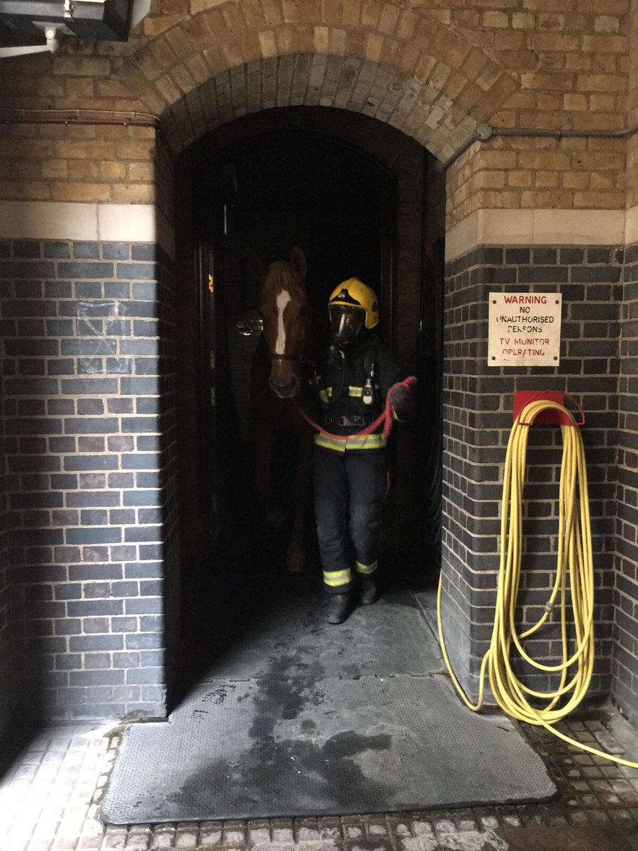 CityHorses's tweet photo. #PHRoxy being led out of the stables into the yard by @LondonFire crew in #breathingapparatus as part of the drill https://t.co/xKzhetadhV
