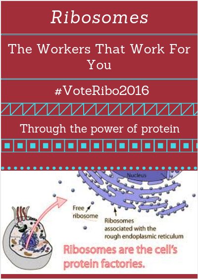 RuskiRibo2016's tweet photo. #cellection2016 #Ruskifor2016 #ProteinPower #TheWorkersThatWorkForYou #MakeTheCellGreatAgain https://t.co/itFItgycOp