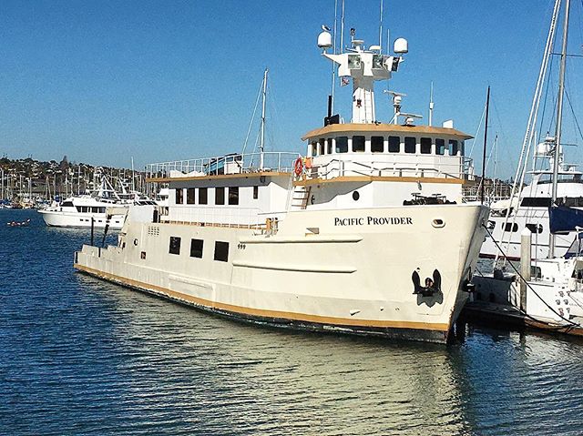 THE DFC clubhouse "Pacific Provider" #bestbuckinfishing #dollarfishingclub #saltwater #fishing 📷