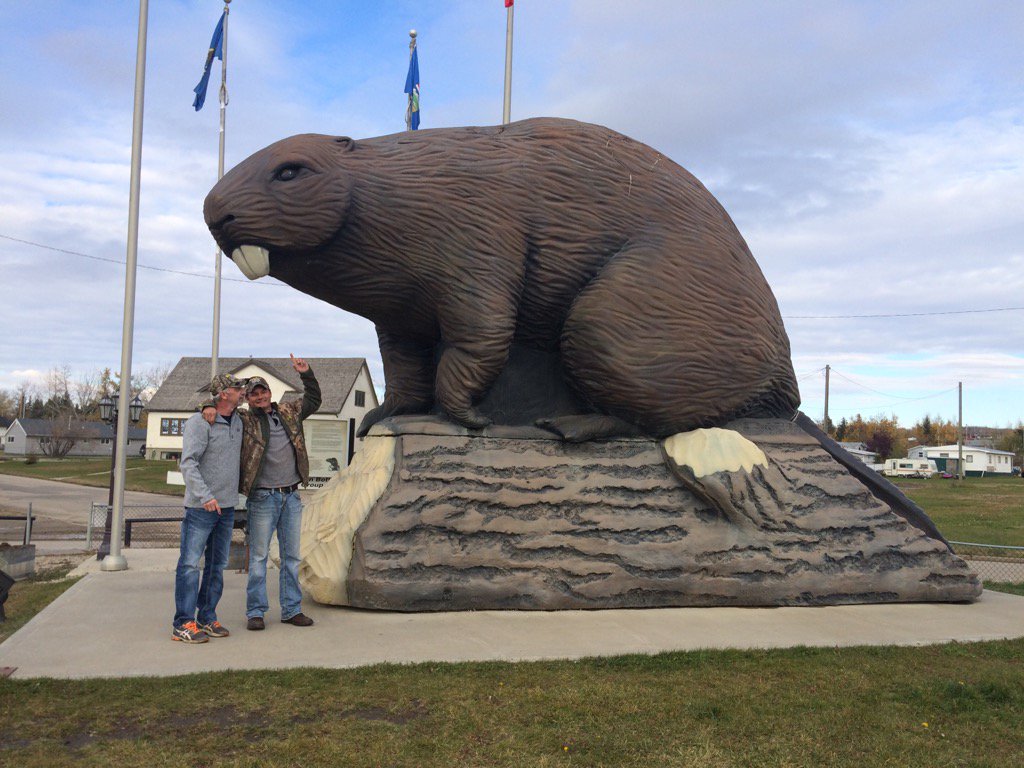 CaptainTiller's tweet photo. Got to get a beaver licence big beavers here in Alberta lol https://t.co/UcJM59vjAI