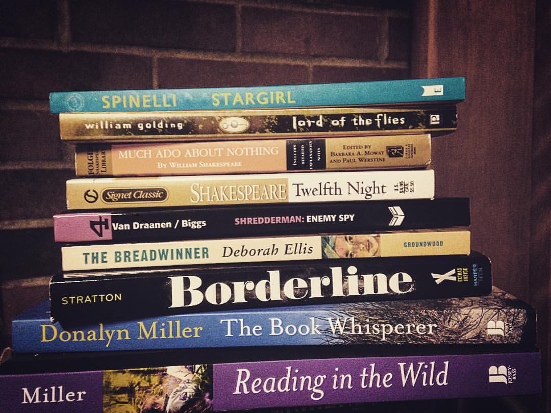 wanderfulwrtg's tweet photo. "Read the things they say are good for you, and the things they claim are junk. You'll find what you need to find. Just read"-NG #icte2016 https://t.co/ySEIyy58uM