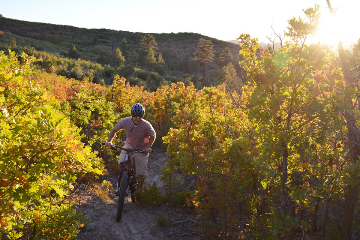 ZionPonderosa's tweet photo. Who's up for #mountainbiking this weekend?! #Zion #ZionPonderosa #Giant #ZionInFall #FallRide #ScenicZion #scenicroute https://t.co/XKD4FDKajo