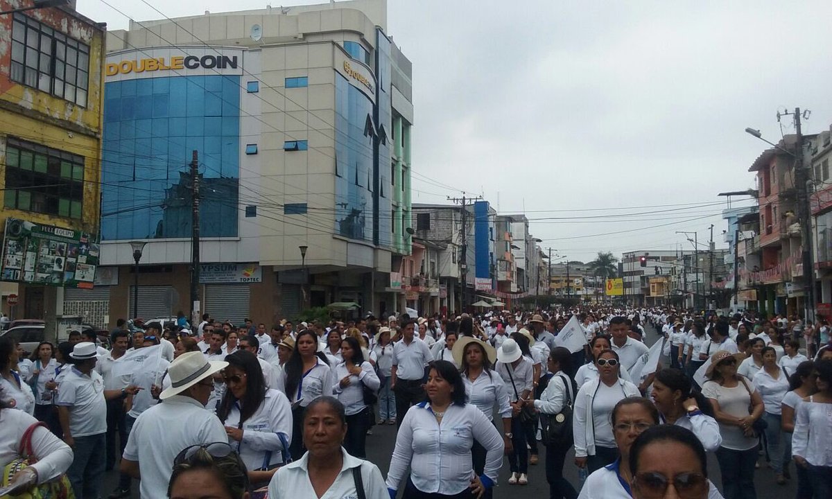 88888stat's tweet photo. Y hoy...la marea blanca (Red de Maestros) festejó a Quevedo. Con ustedes la transformación de la educación nunca se detendrá!@RedMaestrxsEC https://t.co/A1xG3TVhLp