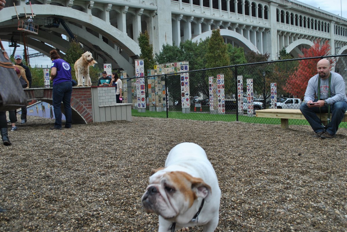 Attn #dtCLE dogs! <a href="/dtCLEdogpark/">dtCLE Dog Park</a> turns 2 tomorrow! Come celebrate the city's only dog park with prizes, costume parade and puppy love